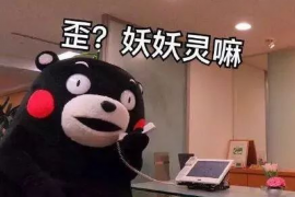 承德企业清欠服务